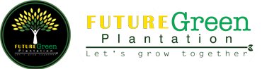 Future Green Plantation